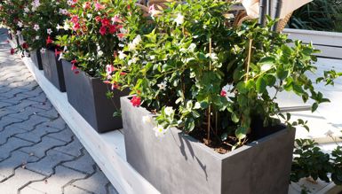 7 large dark grey planter boxes with plants, each with pink and white flowers, sitting in a row on the kerb alongside the road