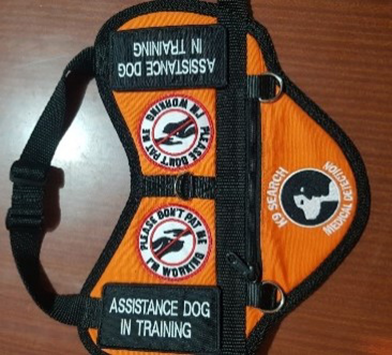 Image showing an orange vest worn by disability assist dogs of the K9 Search medical detection. 